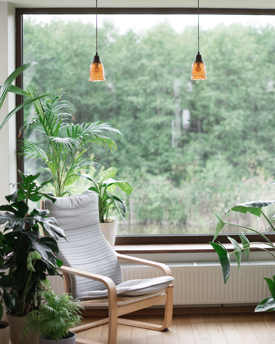 Natural tones + plant energy